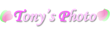 Tony's Photo